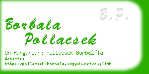 borbala pollacsek business card